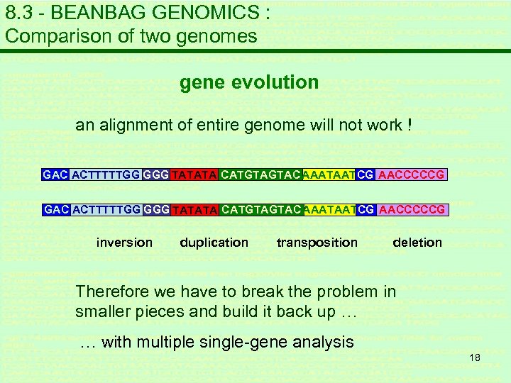 8. 3 - BEANBAG GENOMICS : Comparison of two genomes gene evolution an alignment