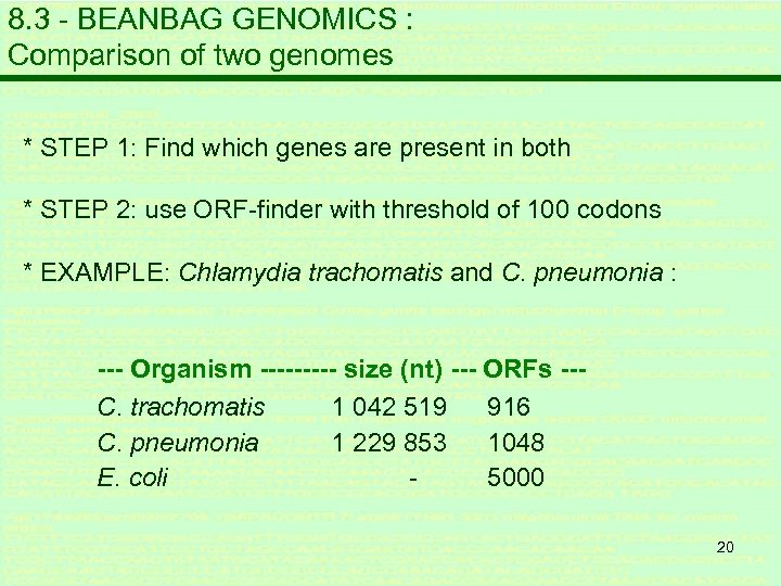 8. 3 - BEANBAG GENOMICS : Comparison of two genomes * STEP 1: Find
