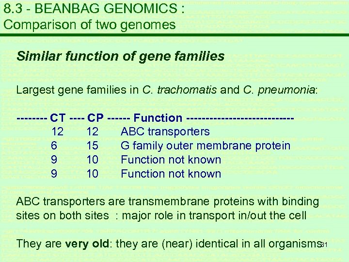 8. 3 - BEANBAG GENOMICS : Comparison of two genomes Similar function of gene