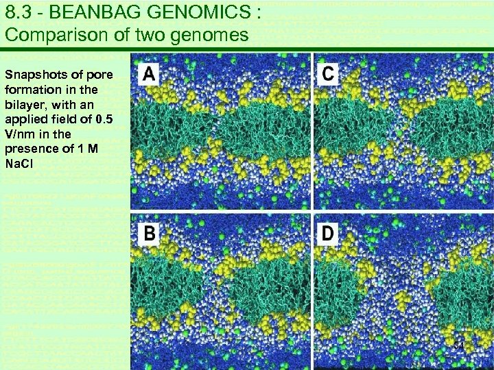 8. 3 - BEANBAG GENOMICS : Comparison of two genomes Snapshots of pore formation