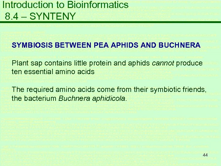 Introduction to Bioinformatics 8. 4 – SYNTENY SYMBIOSIS BETWEEN PEA APHIDS AND BUCHNERA Plant