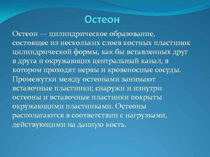 Остеон — цилиндрическое образование, состоящее из нескольких слоев костных пластинок цилиндрической формы, как бы