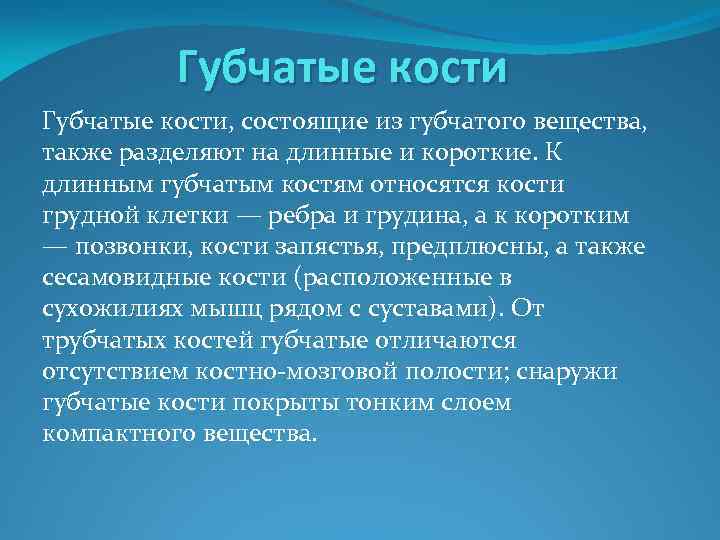 Губчатые кости, состоящие из губчатого вещества, также разделяют на длинные и короткие. К длинным