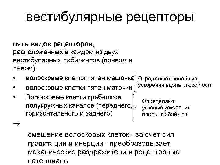 вестибулярные рецепторы пять видов рецепторов, расположенных в каждом из двух вестибулярных лабиринтов (правом и