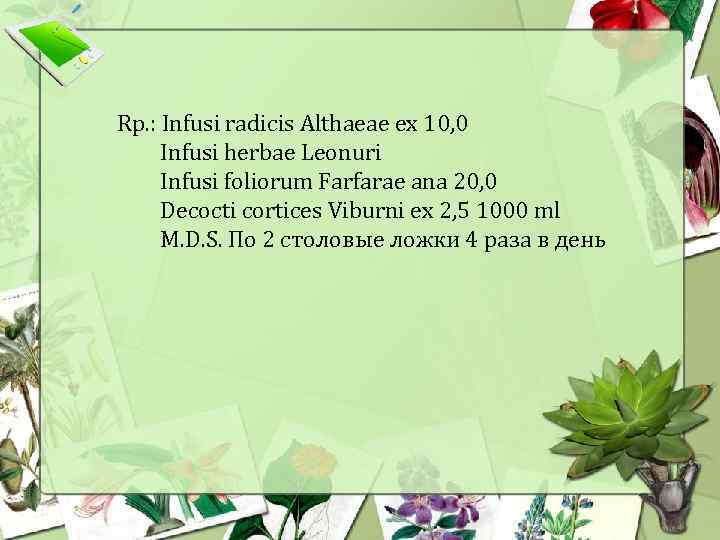 Rp. : Infusi radicis Althaeae ex 10, 0 Infusi herbae Leonuri Infusi foliorum Farfarae