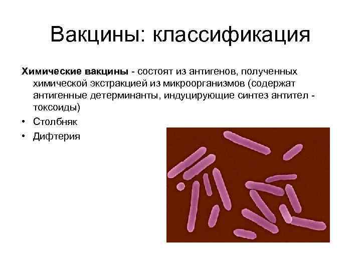 Вакцины: классификация Химические вакцины - состоят из антигенов, полученных химической экстракцией из микроорганизмов (содержат