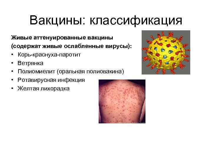 Вакцины: классификация Живые аттенуированные вакцины (содержат живые ослабленные вирусы): • Корь-краснуха-паротит • Ветрянка •