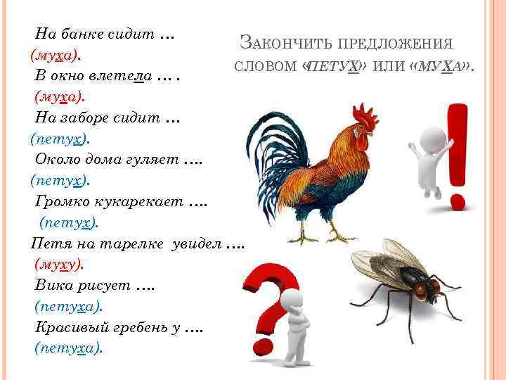 Предложение со словом петух