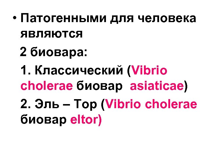  • Патогенными для человека являются 2 биовара: 1. Классический (Vibrio cholerae биовар asiaticae)