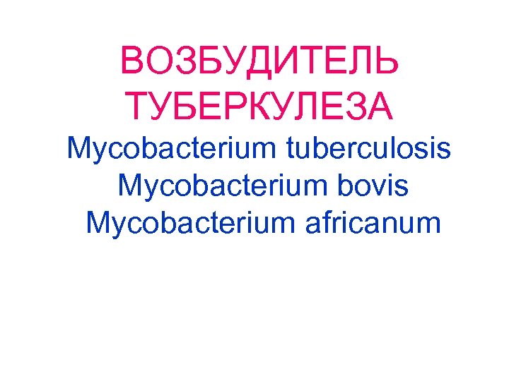 ВОЗБУДИТЕЛЬ ТУБЕРКУЛЕЗА Mycobacterium tuberculosis Mycobacterium bovis Mycobacterium africanum 