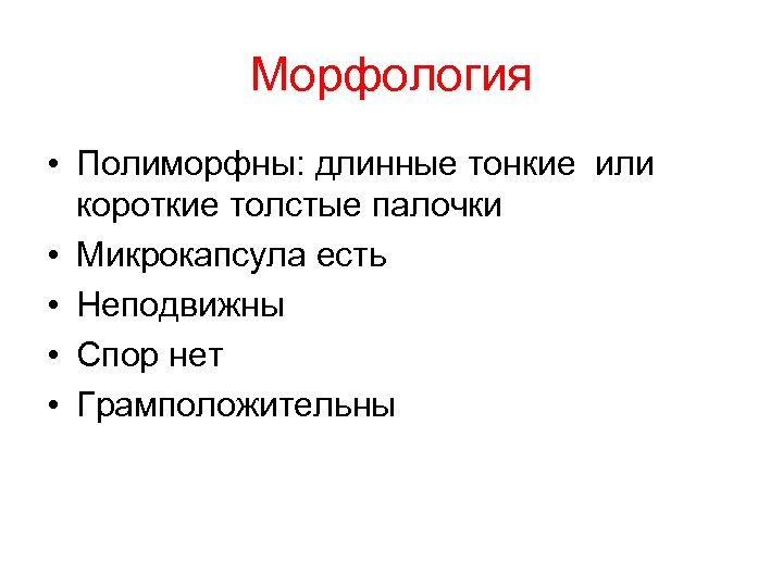 Морфология • Полиморфны: длинные тонкие или короткие толстые палочки • Микрокапсула есть • Неподвижны