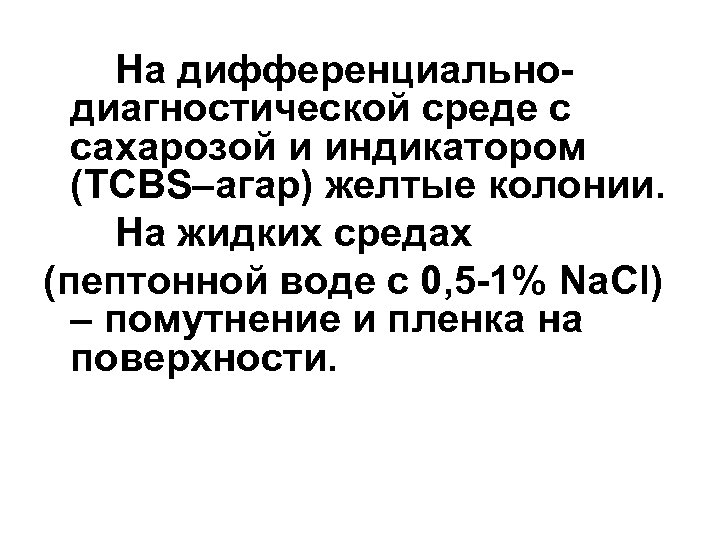 На дифференциальнодиагностической среде с сахарозой и индикатором (TCBS–агар) желтые колонии. На жидких средах (пептонной