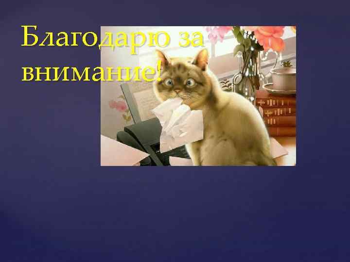 Благодарю за внимание! 