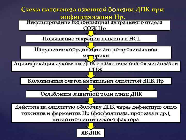 Схема патогенеза язвенной болезни ДПК при инфицировании Нр. Инфицирование (колонизация) антрального отдела СОЖ Нр
