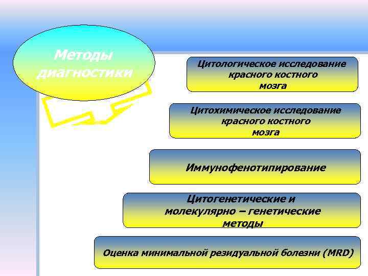 Методы диагностики Цитологическое исследование красного костного мозга Цитохимическое исследование красного костного мозга Иммунофенотипирование Цитогенетические