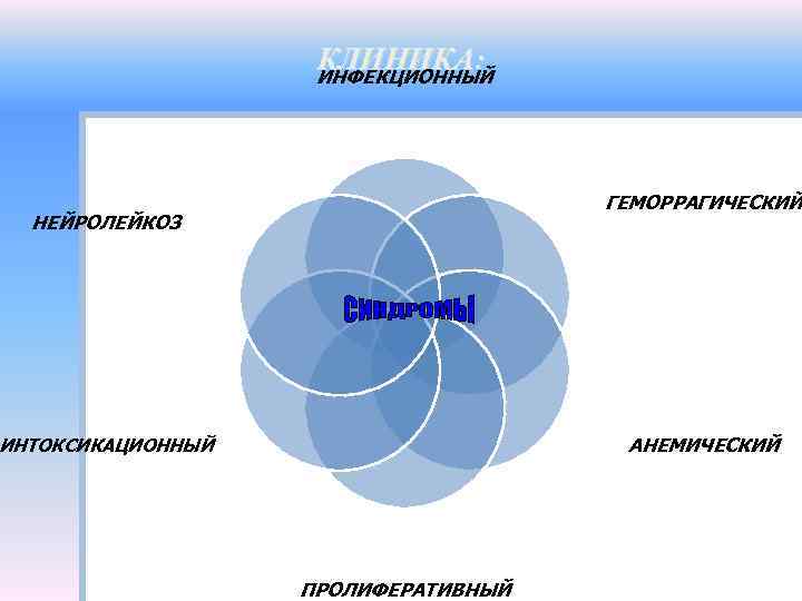 КЛИНИКА: ИНФЕКЦИОННЫЙ ГЕМОРРАГИЧЕСКИЙ НЕЙРОЛЕЙКОЗ АНЕМИЧЕСКИЙ ИНТОКСИКАЦИОННЫЙ ПРОЛИФЕРАТИВНЫЙ 