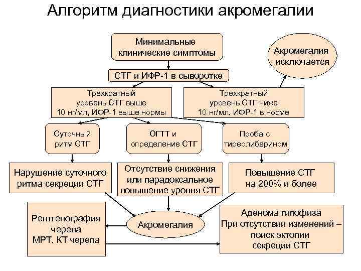 Схема патогенеза расстройств при увеличении продукции стг