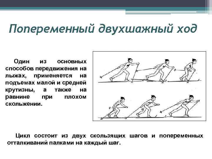 Какой лыжный ход изображен на рисунке