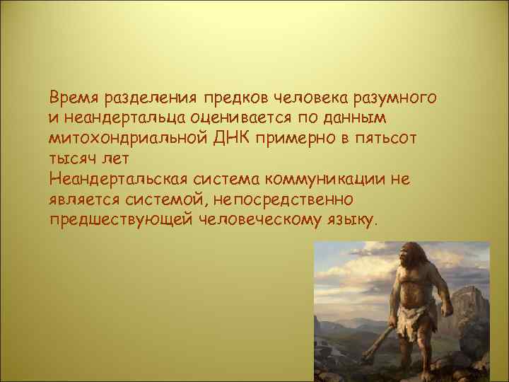 Время разделения предков человека разумного и неандертальца оценивается по данным митохондриальной ДНК примерно в