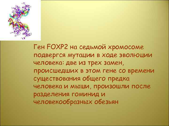 Ген FOXP 2 на седьмой хромосоме подвергся мутации в ходе эволюции человека: две из