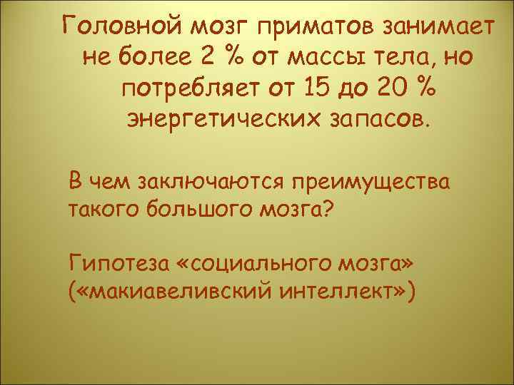 Головной мозг приматов занимает не более 2 % от массы тела, но потребляет от