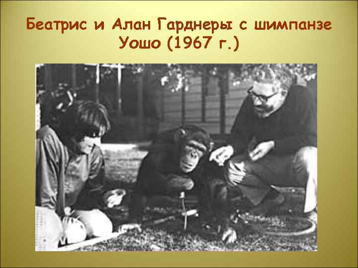 Беатрис и Алан Гарднеры с шимпанзе Уошо (1967 г. ) 