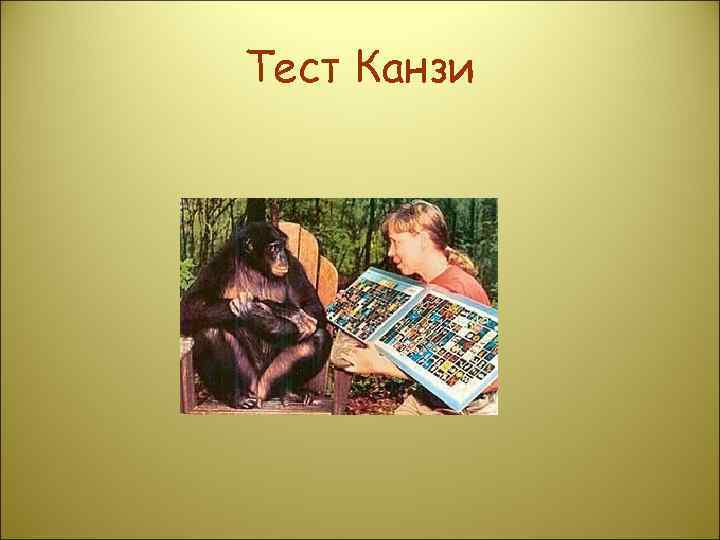 Тест Канзи 