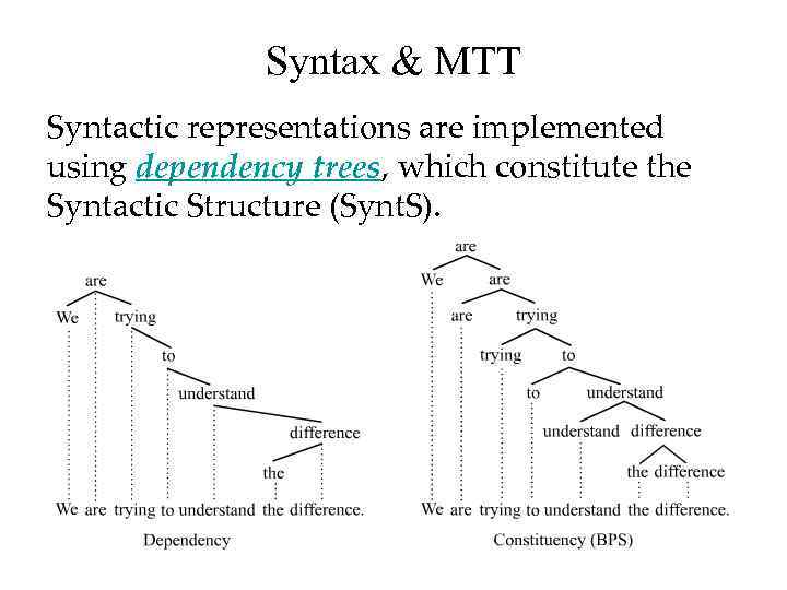 Syntax & MTT Syntactic representations are implemented using dependency trees, which constitute the Syntactic