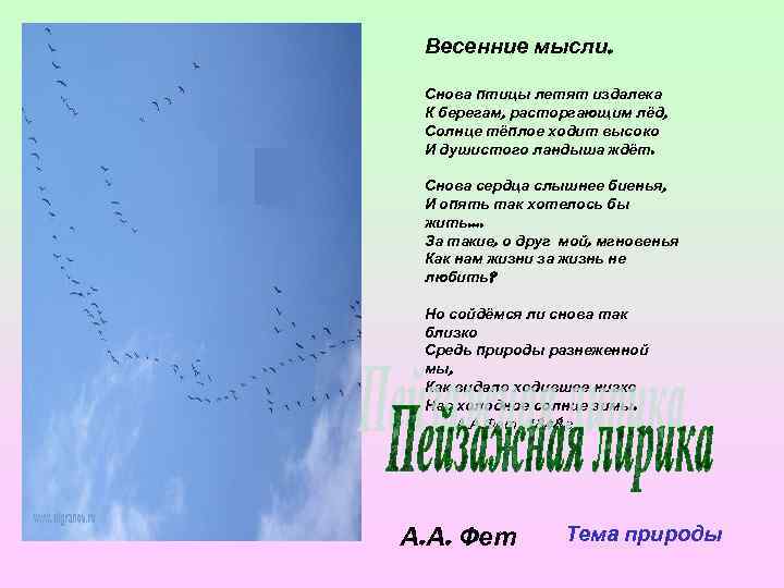 Весенние мысли. Снова птицы летят издалека К берегам, расторгающим лёд, Солнце тёплое ходит высоко