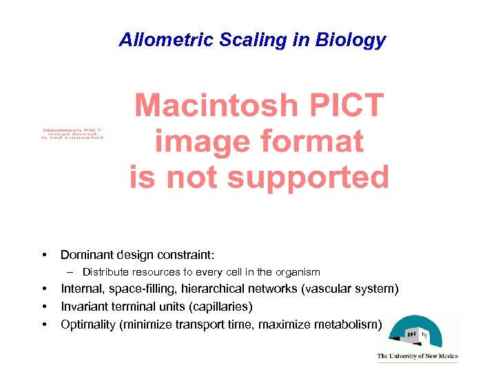 Allometric Scaling in Biology • Dominant design constraint: – Distribute resources to every cell