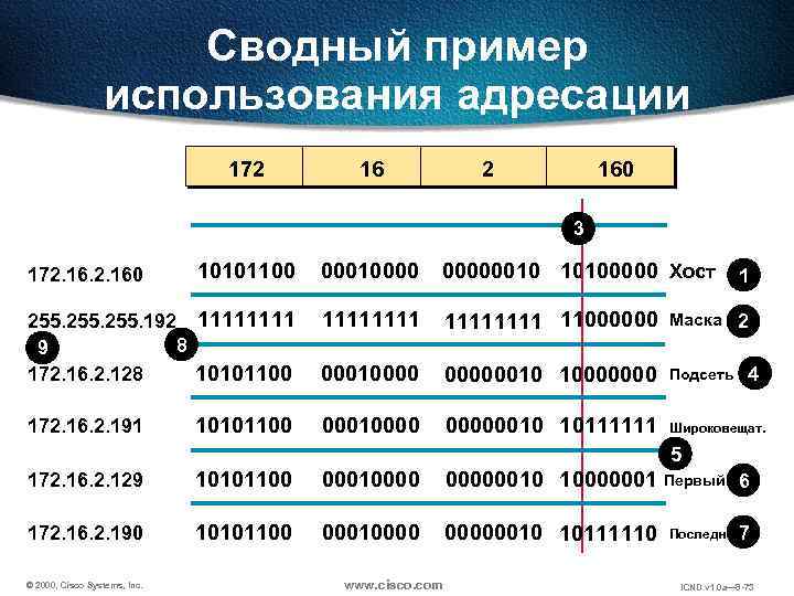 Сводный пример использования адресации 172 160 3 10101100 000100000010 10100000 Хост 255. 192 1111