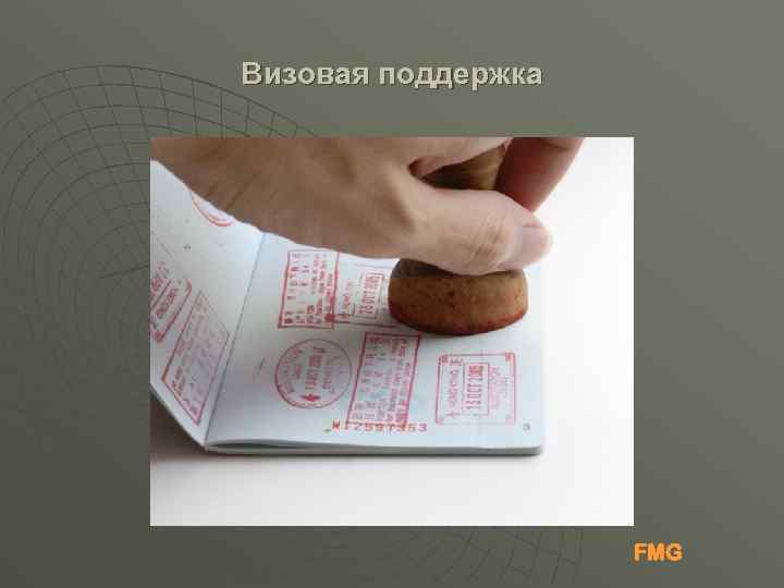 Визовая поддержка FMG 