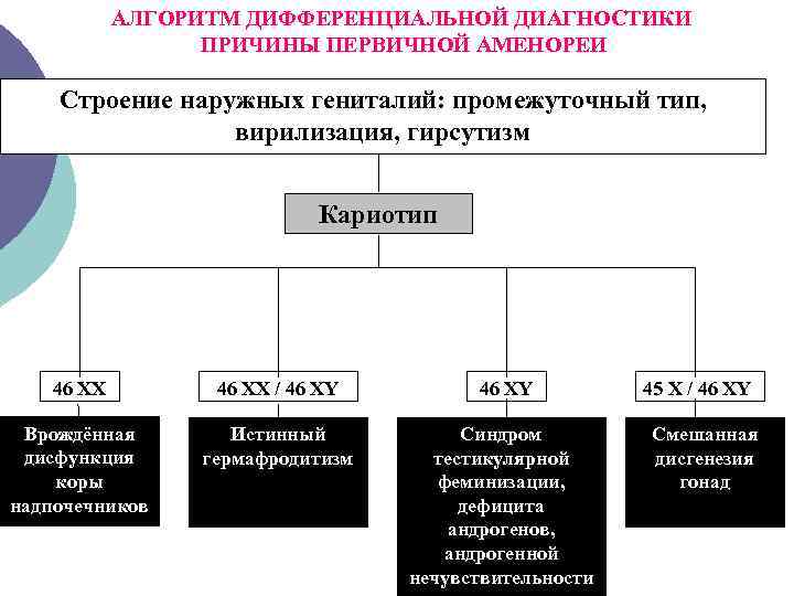 АЛГОРИТМ ДИФФЕРЕНЦИАЛЬНОЙ ДИАГНОСТИКИ ПРИЧИНЫ ПЕРВИЧНОЙ АМЕНОРЕИ Строение наружных гениталий: промежуточный тип, вирилизация, гирсутизм Кариотип