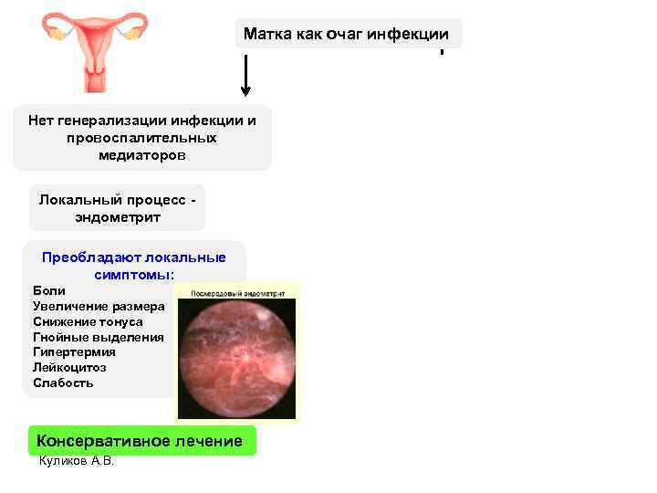 Матка как очаг инфекции Нет генерализации инфекции и провоспалительных медиаторов Генерализация инфекции и провоспалительных