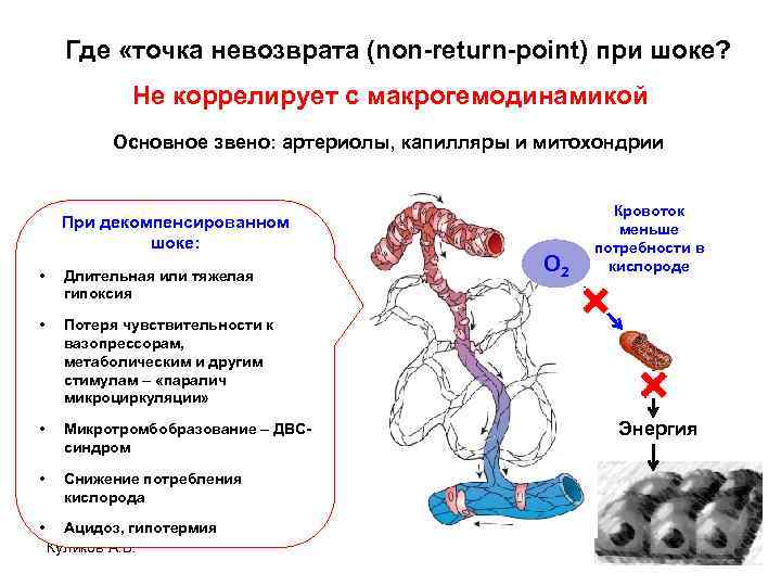 Где «точка невозврата (non-return-point) при шоке? Не коррелирует с макрогемодинамикой Основное звено: артериолы, капилляры