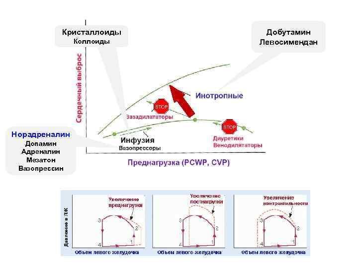 Кристаллоиды Коллоиды Норадреналин Допамин Адреналин Мезатон Вазопрессин Добутамин Левосимендан 