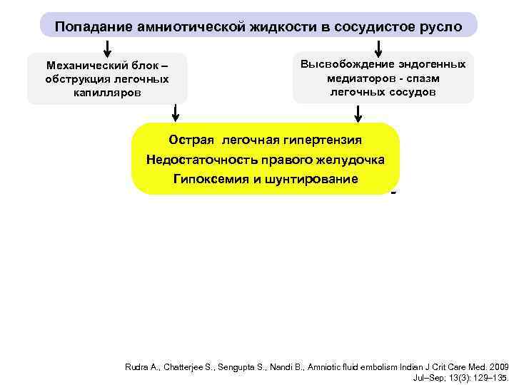 Попадание амниотической жидкости в сосудистое русло Высвобождение эндогенных медиаторов - спазм легочных сосудов Механический