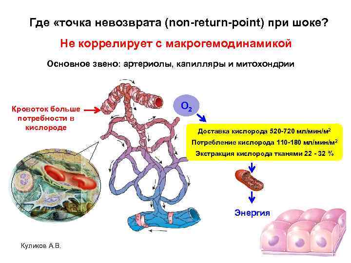 Где «точка невозврата (non-return-point) при шоке? Не коррелирует с макрогемодинамикой Основное звено: артериолы, капилляры