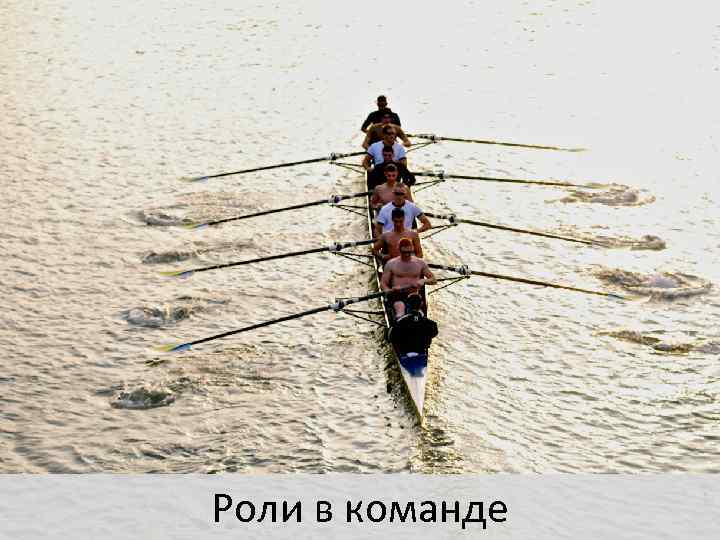 Роли в команде 