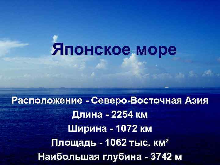 Японское море проект