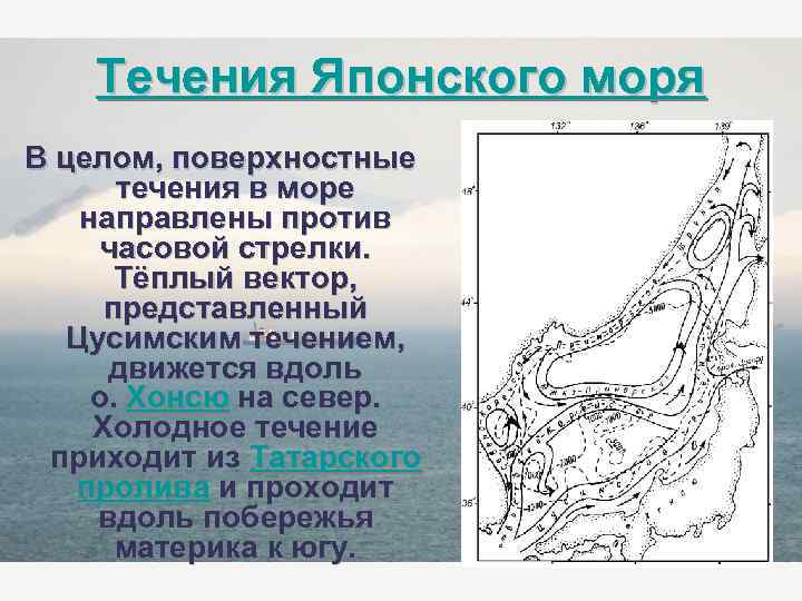 В северной части японского моря