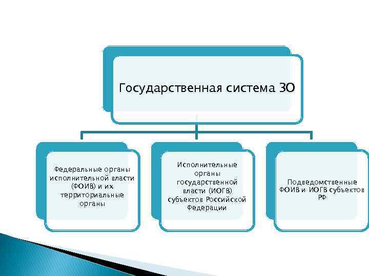 Государственная система ЗО Федеральные органы исполнительной власти (ФОИВ) и их территориальные органы Исполнительные органы