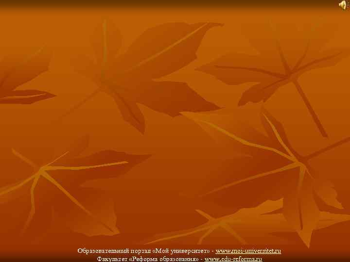 Образовательный портал «Мой университет» - www. moi-universitet. ru Факультет «Реформа образования» - www. edu-reforma.