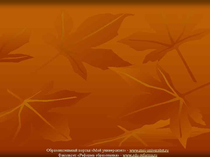 Образовательный портал «Мой университет» - www. moi-universitet. ru Факультет «Реформа образования» - www. edu-reforma.