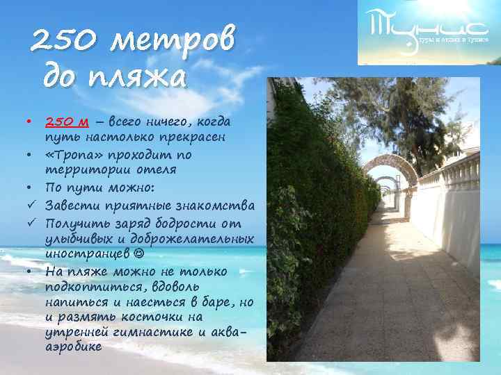 250 метров до пляжа 250 м – всего ничего, когда путь настолько прекрасен •