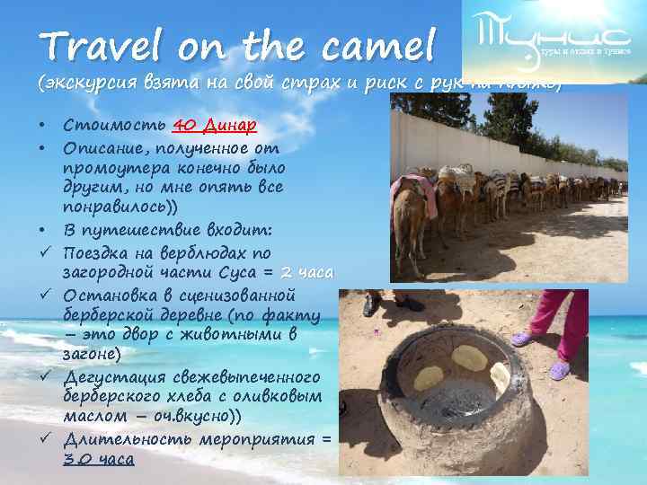 Travel on the camel (экскурсия взята на свой страх и риск с рук на