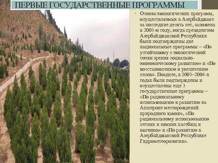  ПЕРВЫЕ ГОСУДАРСТВЕННЫЕ ПРОГРАММЫ • Основа экологических программ, осуществляемых в Азербайджане за последние десять