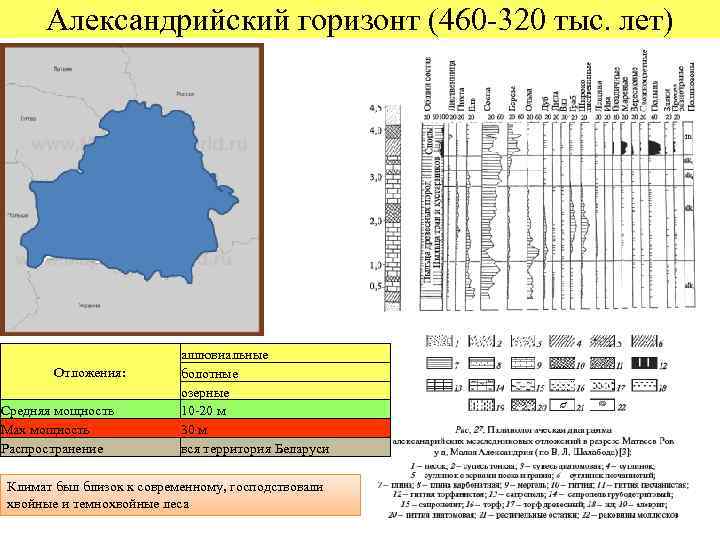 Александрийский горизонт (460 -320 тыс. лет) Отложения: Средняя мощность Мах мощность Распространение аллювиальные болотные