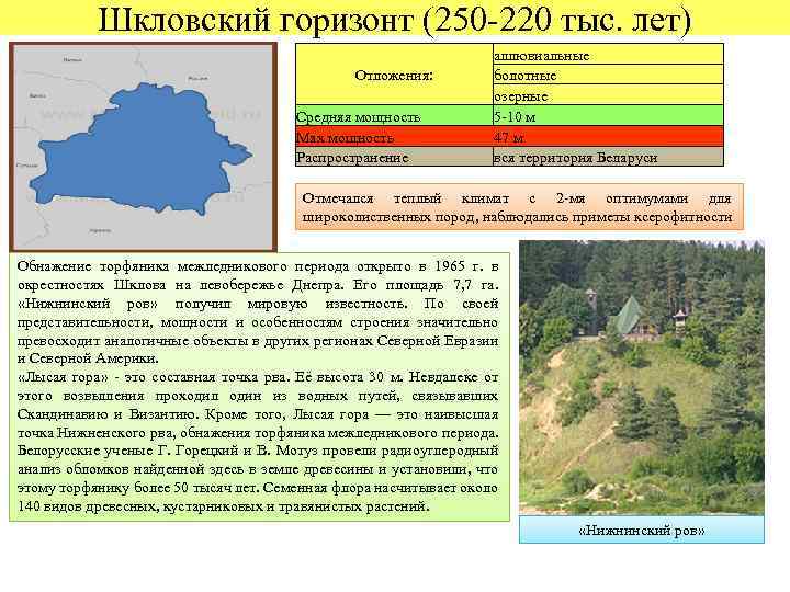 Шкловский горизонт (250 -220 тыс. лет) Отложения: Средняя мощность Мах мощность Распространение аллювиальные болотные