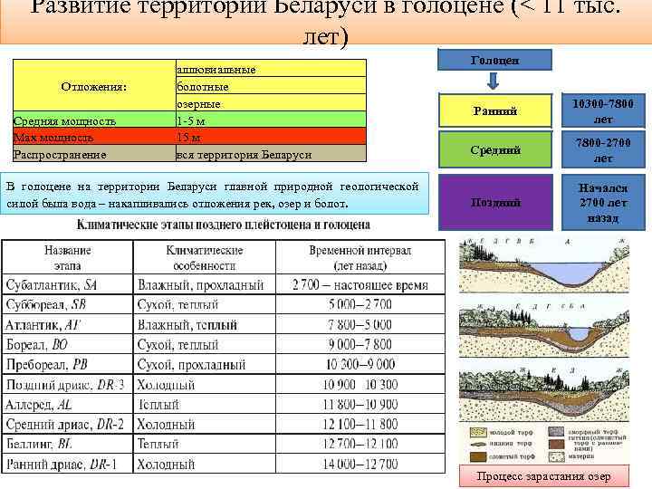 Схема блитта сернандера